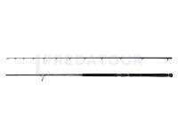 Canne Savage Gear Defiance SG2 Shore Jigging 2.90m 20-80g
