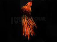 UV2 Coq De Leon Perdigon Fire Tail Feathers - #137 Fl Orange