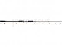 Canne W4 Powershad-T 2nd 7'3" 218 CM XXH 50-150 G