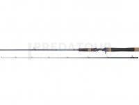 Canne Casting Dragon G.P. Concept Twitch Cast 42MH 1.90m 18-42g