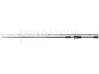 Canne Dragon CXT Casting MicroSpecial MS-X 2.28m  2.5-16g