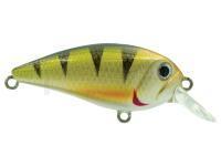 Leurre Adam's Crank 50 SR | 50mm 7.50g - Perch