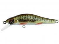 Leurre Adam's Jerkbait 50 S | 5cm 3.3g - Alevin