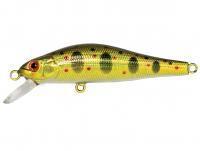 Leurre Adam's Jerkbait 50 SP SR | 50mm 3g - HG Gold Amago