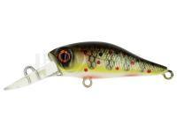 Leurre Adam's Shad 34 F MR | 34mm 1.5g - Truitelle