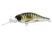 Leurre Adam's Shad 40 SP MR | 40mm 2.70g - Alevin