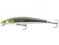 Leurre Daiwa Tournament Minnow 120SP 12cm 14.5g - ayu