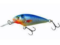 Dorado Invader I-6 Sinking B