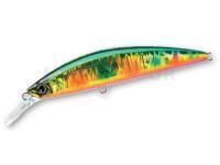 Leurre dur Duel Hardcore Heavy Minnow Sinking 90mm 29g - HGGC (F1189-HGGC)