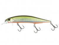 Leurre DUO Duo Realis Jerkbait 120SP (MC) - ANA3714 Tennessee Shad (MC)