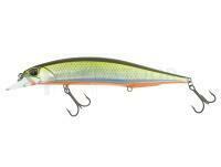 Leurre DUO Duo Realis Jerkbait 120SP (MC) - ANA3714 Tennessee Shad (MC)