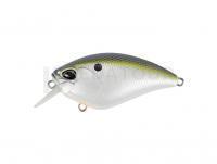 Leurre DUO Realis Apex Crank 66 Squared 66mm 17.7g | 2-5/8in 5/8oz  - ACC3083 American Shad