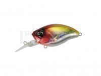 Leurre Duo Realis Crank 48MR Kabuki BottomRush 48ｍｍ 10.5g - ADA3033