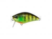 Leurre DUO Realis Crank Kabuki 50 SSR | 50mm 8.4g | 2in 1/4oz  - AJA3055 Chart Gill Halo