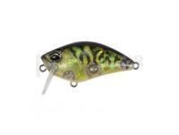 Leurre DUO Realis Crank Kabuki 50 SSR | 50mm 8.4g | 2in 1/4oz  - CDX3933 Champagne Tiger