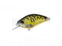 Leurre DUO Realis Crank Kabuki 55 SR | 55mm 9.7g | 2-1/8in 3/8oz -  CDX3933 Champagne Tiger