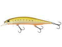 Leurre DUO Realis Jerkbait 120SP - ADTZ030