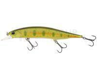 Leurre DUO Realis Jerkbait 120SP - ANI4004