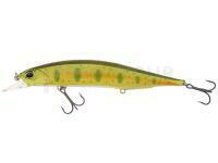 Leurre DUO Realis Jerkbait 120SP - ANI4004
