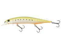 Leurre DUO Realis Jerkbait 120SP - AST0333