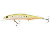 Leurre DUO Realis Jerkbait 120SP - AST0333