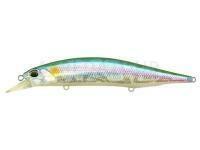 Leurre DUO Realis Jerkbait 130SP | 130mm 22g | 5-1/8in 3/4oz - ADA3077