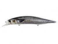 Leurre DUO Realis Jerkbait SP SW Limited 12cm - DST0804 Mullet ND