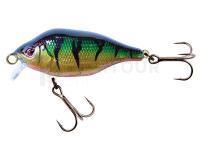 Leurre Fox Rage Funk Bug 40mm 4g SR - UV Original Perch