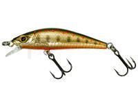 Leurre dur Gunki Gamera 50 HW - Copper Trout