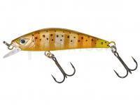 Leurre dur Gunki Gamera 50 HW - Stripped Trout