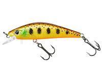 Leurre dur Gunki Gamera 63mm HW - Gold Trout