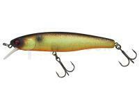 Leurre Illex Arnaud 100 F | 10cm 16g - Muddy Roach