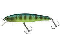 Leurre Illex Arnaud 100 F | 10cm 16g - Secret Grass Gill