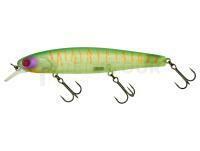 Leurre Illex Arnaud 110 F | 11cm 18g - Lime Chart Tiger