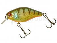 Leurre Illex Cherry 10 CC 50mm 9.5g - Agressive Perch