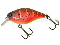 Leurre Illex Cherry 10 CC 50mm 9.5g - Spicy Louisy Craw