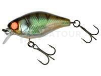 Leurre Illex Chubby 38 mm 4g - Magic Green Perch