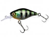 Leurre Illex Chubby 38 MR | 38mm 4.2g - HL Sunfish