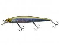 Leurre Illex Mag Squad 160 SP 16cm 34g - Aurora Baitfish