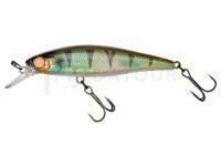 Leurre dur Illex Squad Minnow 95 SP - Magic Green Perch