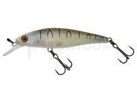 Leurre dur Illex Squad Minnow 95 SP - Tiger Bone