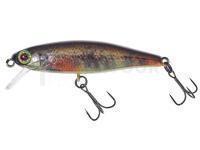 Leurre Dur Illex Tiny Fry 50 SP RT - Brown Trout