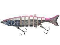 Leurre Jaxon Atract Ameo 12cm 19g - H