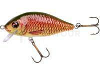 Leurre Jaxon Holo Select Karaś Nature 3D 7cm 13g - PG
