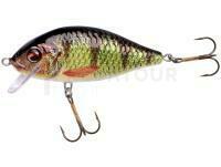 Leurre Jaxon Holo Select Karaś Nature 3D 9cm 17g - OH