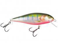 Leurre Kenart Falcon Shallow 8cm 10g - PP