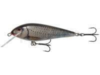 Leurre dur Kenart Troll 10cm - RR