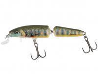 Leurre Salmo Fanatic IF7F 7cm - Lake Charr (LC)