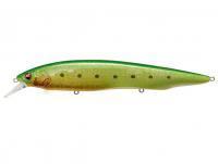 Leurre Megabass Kanata Ayu SW 160mm 30g - GLX GREEN BACK CHART