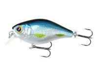 Poisson nageur Mikado Fishunter Bold Head 40mm 3.5g - Blue Bleak